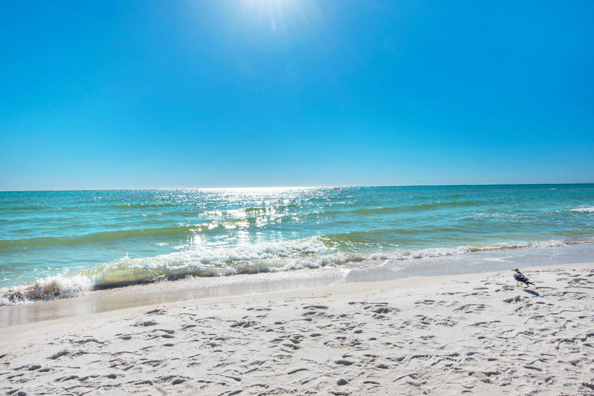 Shores Of Panama 908 Panama City Beach Zewnętrze zdjęcie